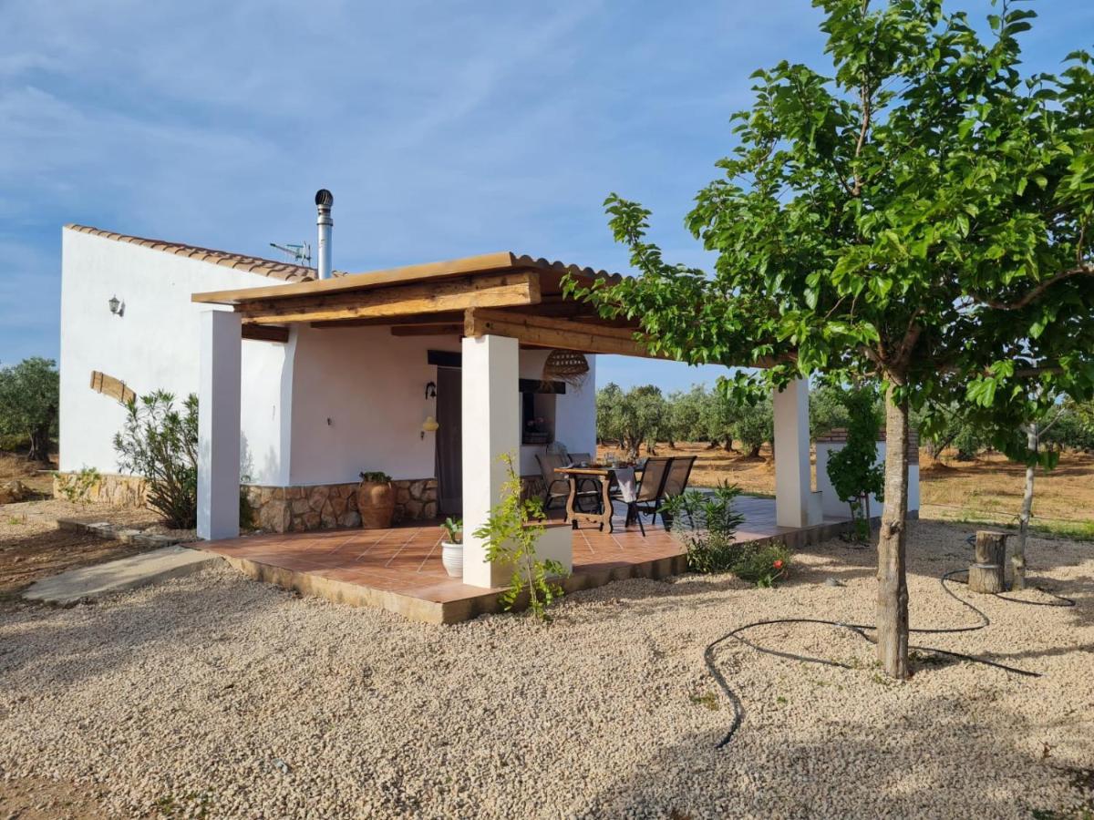 Lo Raconet 2 Holiday home *